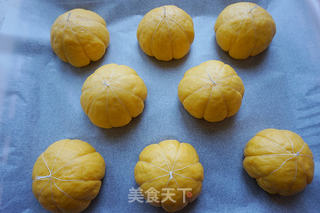 #柏翠大赛#南瓜餐包的做法步骤：16