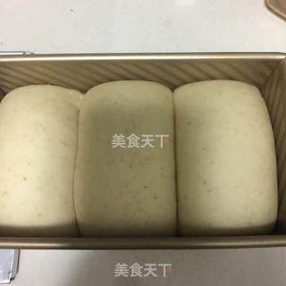 ＃柏翠大赛＃无黄油版北海道吐司（直接法）的做法步骤：5
