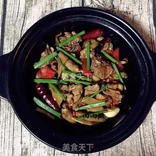 花雕嫩姜仔鸭煲#肉肉厨的做法步骤:17
