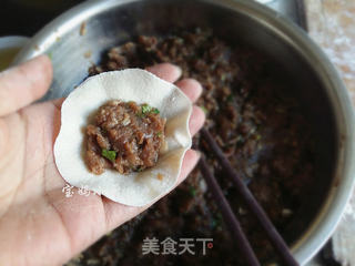 马肉馅水饺的做法步骤:9
