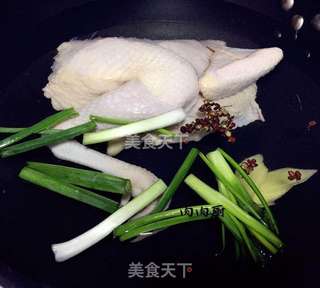 如何做最地道的重庆口水鸡(香辣的口水都出来啦)#肉肉厨的做法步骤:3