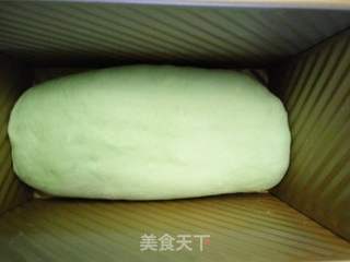 #柏翠大赛#圣诞树蛋糕吐司的做法步骤：4