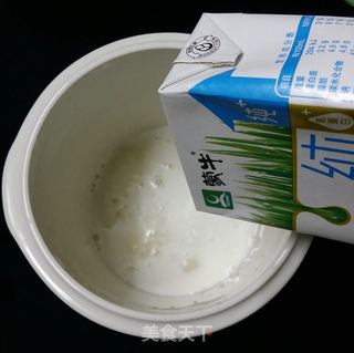 #信任之美#芒果酸奶(电炖锅版)的做法步骤:4