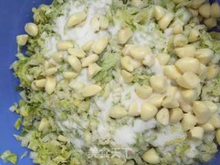 自制冬菜的做法步骤:7