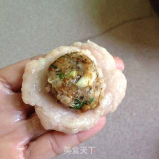 #信任之美#手工包心贡鱼丸的做法步骤:10