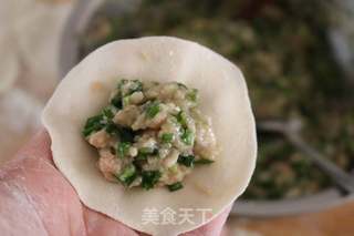 鲅鱼饺子的做法步骤:11