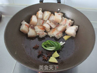 #信任之美#啤酒梅干菜烧肉的做法步骤:9