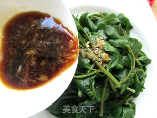 #信任之美#凉拌马齿苋的做法步骤：7