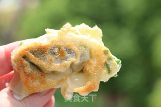 #信任之美#鸡蛋煎馄饨的做法步骤:9