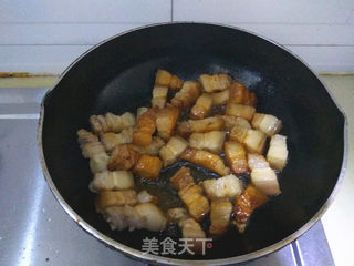 #信任之美#猪肉炖粉条的做法步骤:5