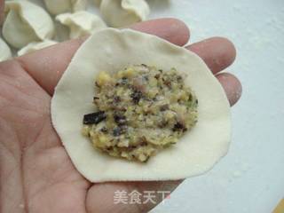 #信任之美#萝卜木耳饺子的做法步骤：5