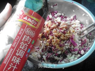 #信任之美#白菜紫甘蓝猪肉饺子的做法步骤:4