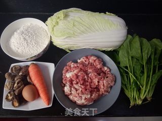 #信任之美#翡翠大白菜肉馅饺子的做法步骤：1