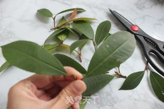 #信任之美# 橘子红了的做法步骤:10
