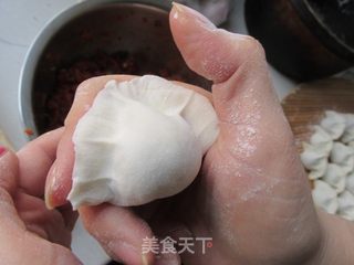 #信任之美#羊肉胡萝卜饺子的做法步骤：7