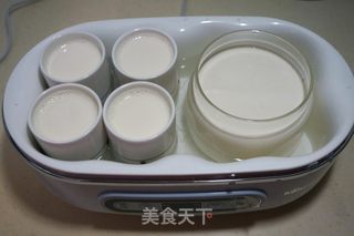 #信任之美#自制酸奶的做法步骤:4