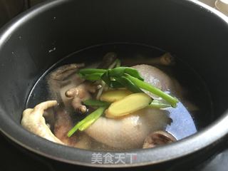 #信任之美#鸡枞菌土鸡汤的做法步骤：4
