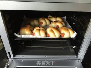 #信任之美#小兔火肠包的做法步骤:11