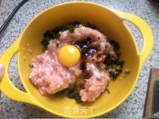 #信任之美#白菜猪肉锅贴的做法步骤:5