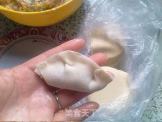 #信任之美#白菜猪肉锅贴的做法步骤:9