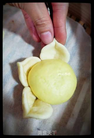 #信任之美#豆沙包(蒸)的做法步骤:8