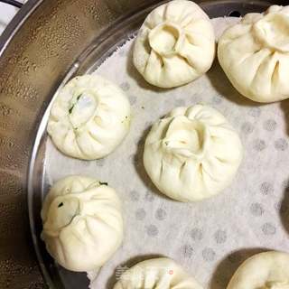 #信任之美#荠菜猪肉蒸包的做法步骤:12