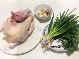 #信任之美#粤式秘制白切鸡#肉肉厨的做法步骤：1