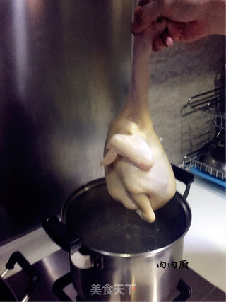 #信任之美#粤式秘制白切鸡#肉肉厨的做法步骤：7