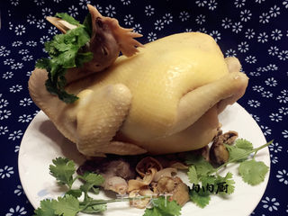 #信任之美#粤式秘制白切鸡#肉肉厨的做法步骤：13