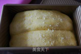 #信任之美#彩虹土司的做法步骤:9
