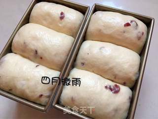 #信任之美#蔓越莓吐司的做法步骤:12