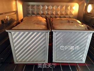 #信任之美#蔓越莓吐司的做法步骤:13