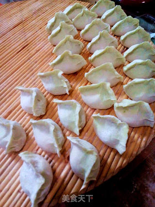 #信任之美#芹菜饺子的做法步骤:15