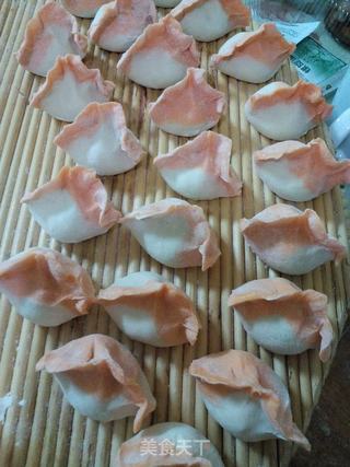 #信任之美#洋葱馅饺子的做法步骤:15