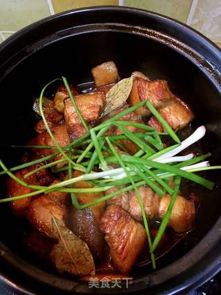 #信任之美#红烧肉的做法步骤:10