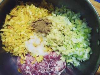 南瓜肉末蒸饺的做法步骤:7