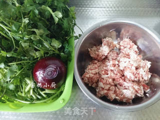 #信任之美#猪肉香菜饺的做法步骤:2