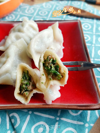 #信任之美#猪肉香菜饺的做法步骤:10