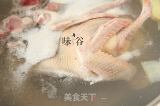 山药鸽子汤(秋冬养生)的做法步骤:3