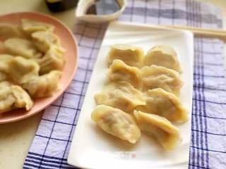 #信任之美#羊肉胡萝卜饺子的做法步骤:16