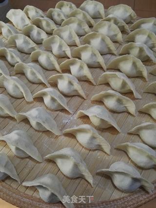 #信任之美#萝卜猪肉饺子的做法步骤:11