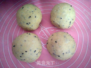 黑芝麻吐司的做法步骤：4