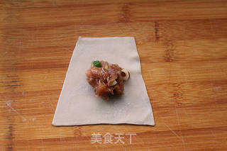 #信任之美#鲜肉馄饨的做法步骤:4