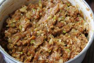 #信任之美#千层肉饼的做法步骤:5