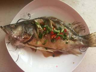 #信任之美#清蒸鳜鱼的做法步骤:9