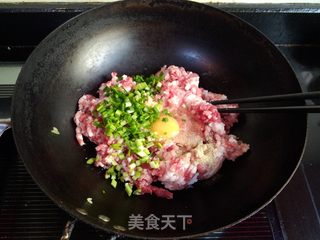 #信任之美#蒲公英肉馄饨的做法步骤:3