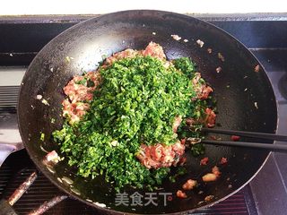 #信任之美#蒲公英肉馄饨的做法步骤:5