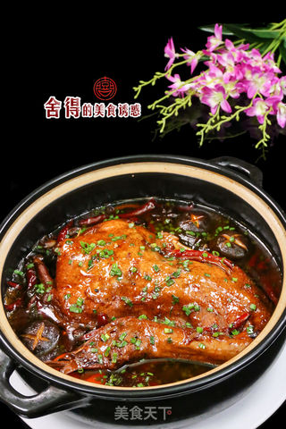 #信任之美#简单易做的【滋补养生啤酒鸭】的做法步骤:5