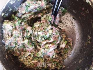 小茴香猪肉饺子的做法步骤:7