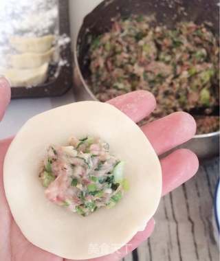 小茴香猪肉饺子的做法步骤:8